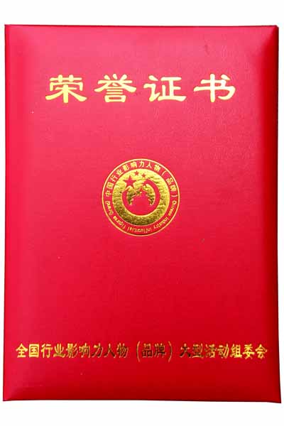 引领右脑